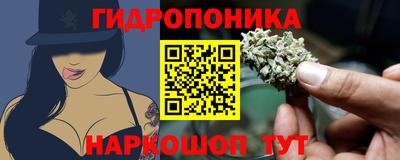 твердый Краснознаменск