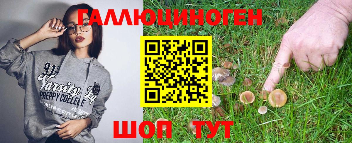 Псилоцибиновые грибы прущие грибы Когалым
